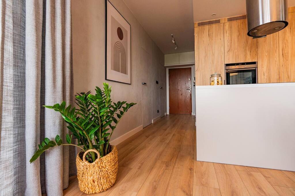Apartament Na Grabiszynskiej Вроцлав Экстерьер фото